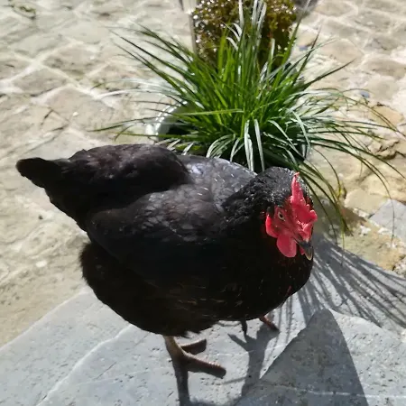 Πανσιόν Le Manil
